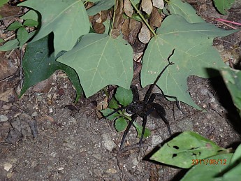 Summer-6-006.jpg