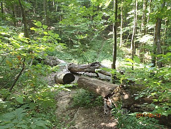 Summer-6-044.jpg