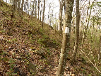 TRIP-121-468.jpg
