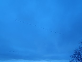 PC280010.jpg