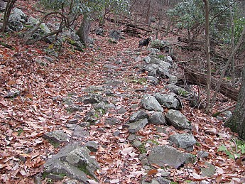 IMG_1147.jpg