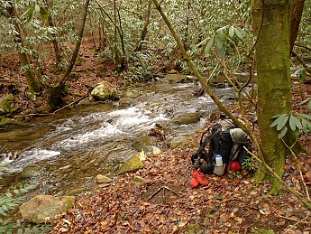 TRIP-141-145.jpg