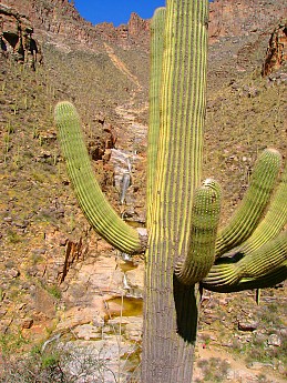 Bear-Canyon-to-Seven-Falls-and-beyond-3-