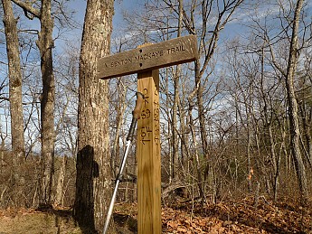 TRIP-141-160.jpg