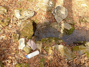 TRIP-141-165.jpg