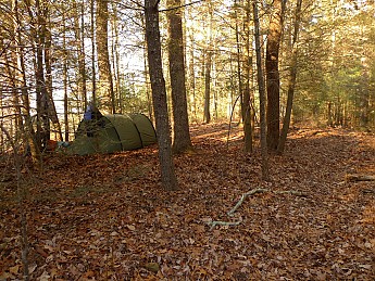 TRIP-141-195.jpg