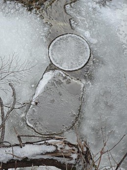 ice-circle.jpg