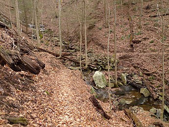 TRIP-141-198.jpg