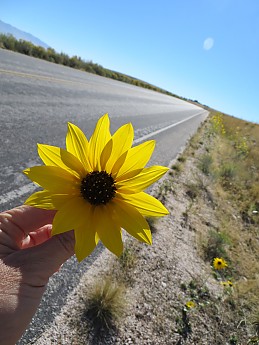 2013-11-01-21-48-19.jpg