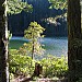 IMG_4430