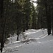 IMG_0318