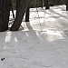 IMG_0326
