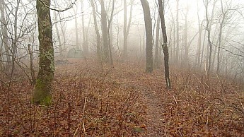 TRIP-141-220.jpg