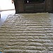 IMG_5815