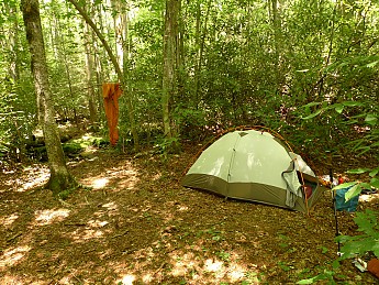 TRIP-125-221.jpg