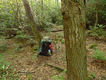 TRIP-125-223.jpg