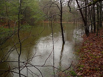 TRIP-141-293.jpg