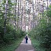 Kettle Morane WI 2008 Son on hike