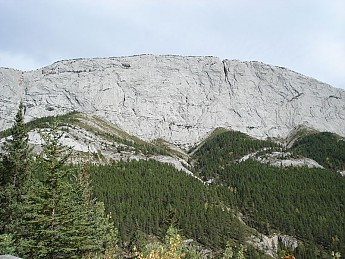 230779.jpg