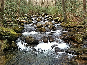 Middle-Saluda-River.jpg