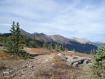 230790.jpg