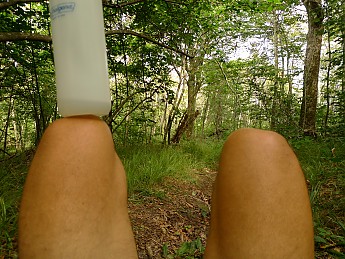 TRIP-125-231.jpg
