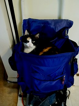 100_0687.jpg