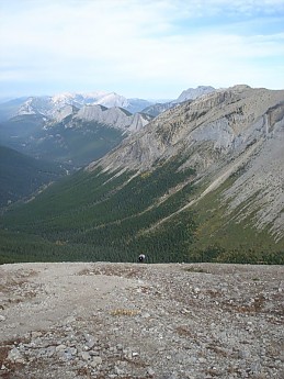 230794.jpg