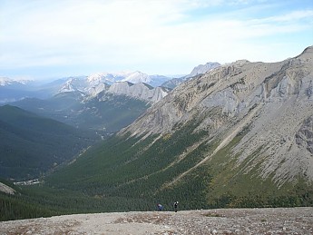 230795.jpg