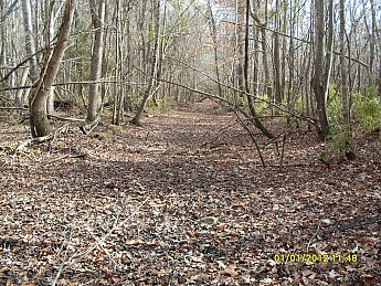 SDC10130.jpg