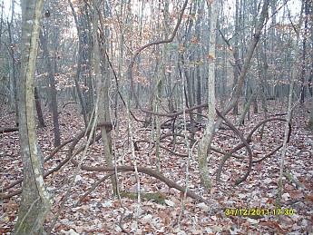 SDC10080.jpg