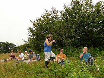 TRIP-125-243.jpg