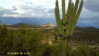 DSCF0807.jpg