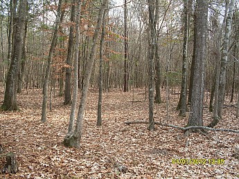 SDC10134.jpg