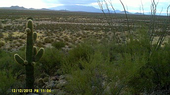 DSCF0808.jpg