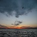 DSCF1483