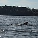 DSCF1212