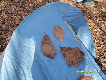 SDC10111.jpg
