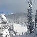 DSC02396