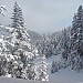 DSC02397