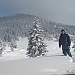 DSC02398