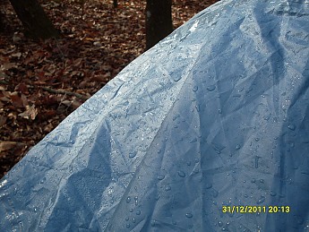 SDC10116.jpg