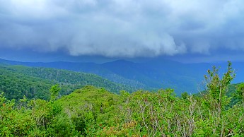 TRIP-125-256.jpg