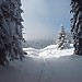DSC02403