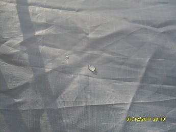 SDC10117.jpg