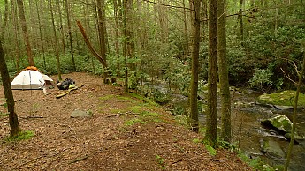 TRIP-125-263.jpg