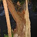 100-0015_IMG