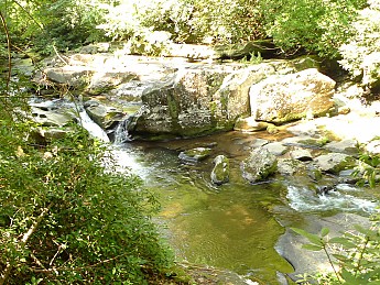 TRIP-125-269.jpg