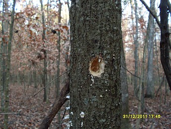 SDC10094.jpg