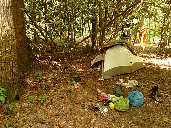 TRIP-125-270.jpg